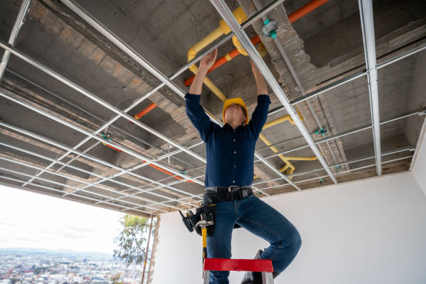 Best Plumbing Inspection Services  in Cotati, CA