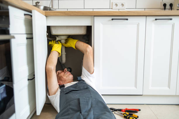 Best Plumbing Services Near Me  in Cotati, CA